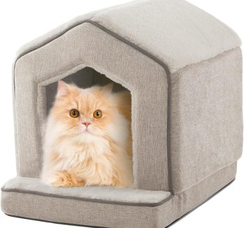 cat bed indoor