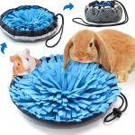 guinea pig enrichment toys