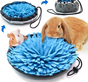 guinea pig enrichment toys