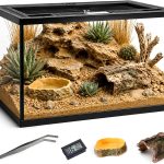 reptile habitat setup kit