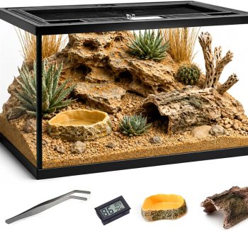 reptile habitat setup kit