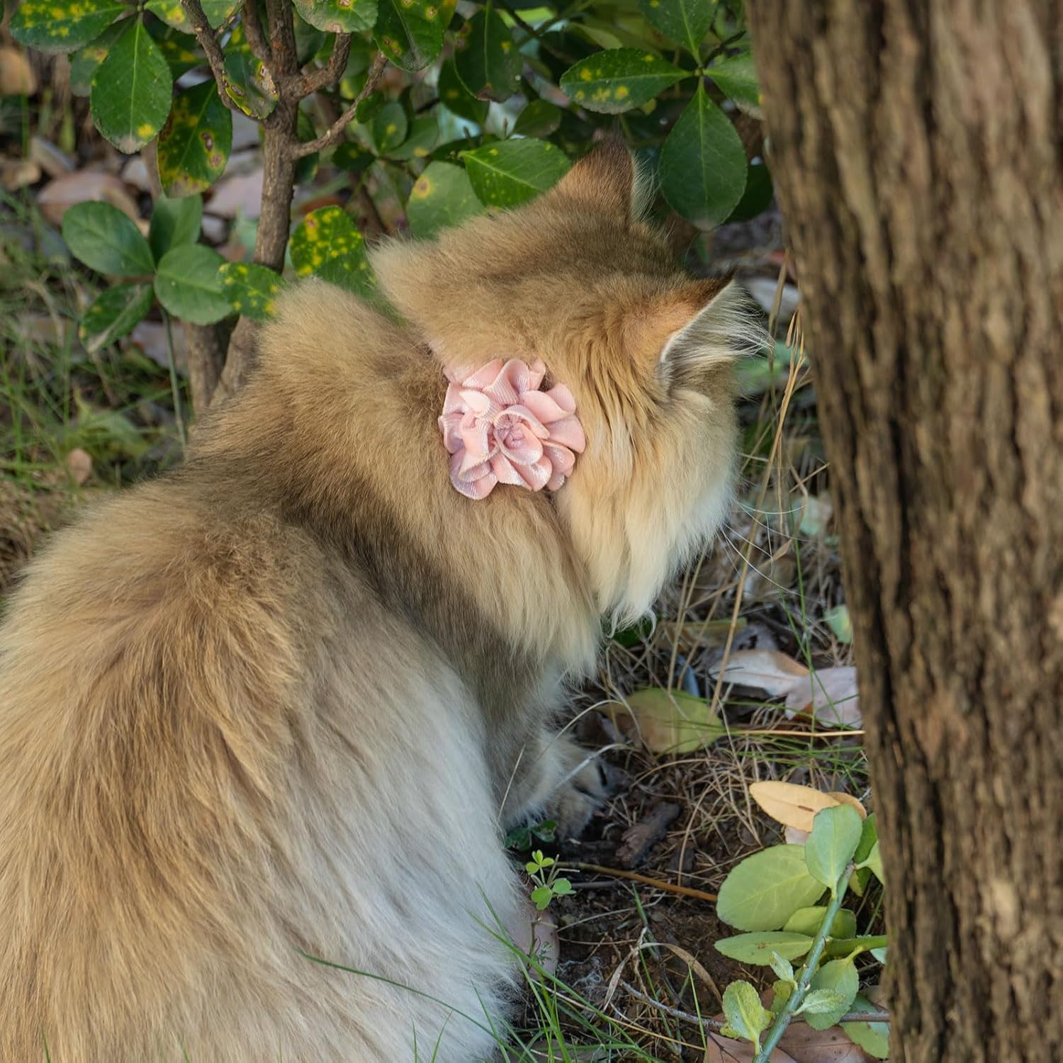 azuza 2 Pack Cat Collar Floral with Bell and Removable Flower Bowtie Breakaway Adjustable Velvet Fabric Cat Collar for Pets and Daily Decoration, Light Pink & Dark Pink - Happypetzone.online - Image 3