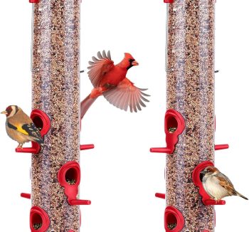 cheap bird perch set