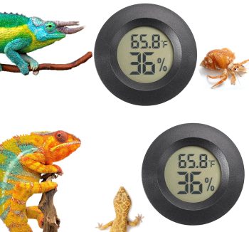 reptile habitat accessories