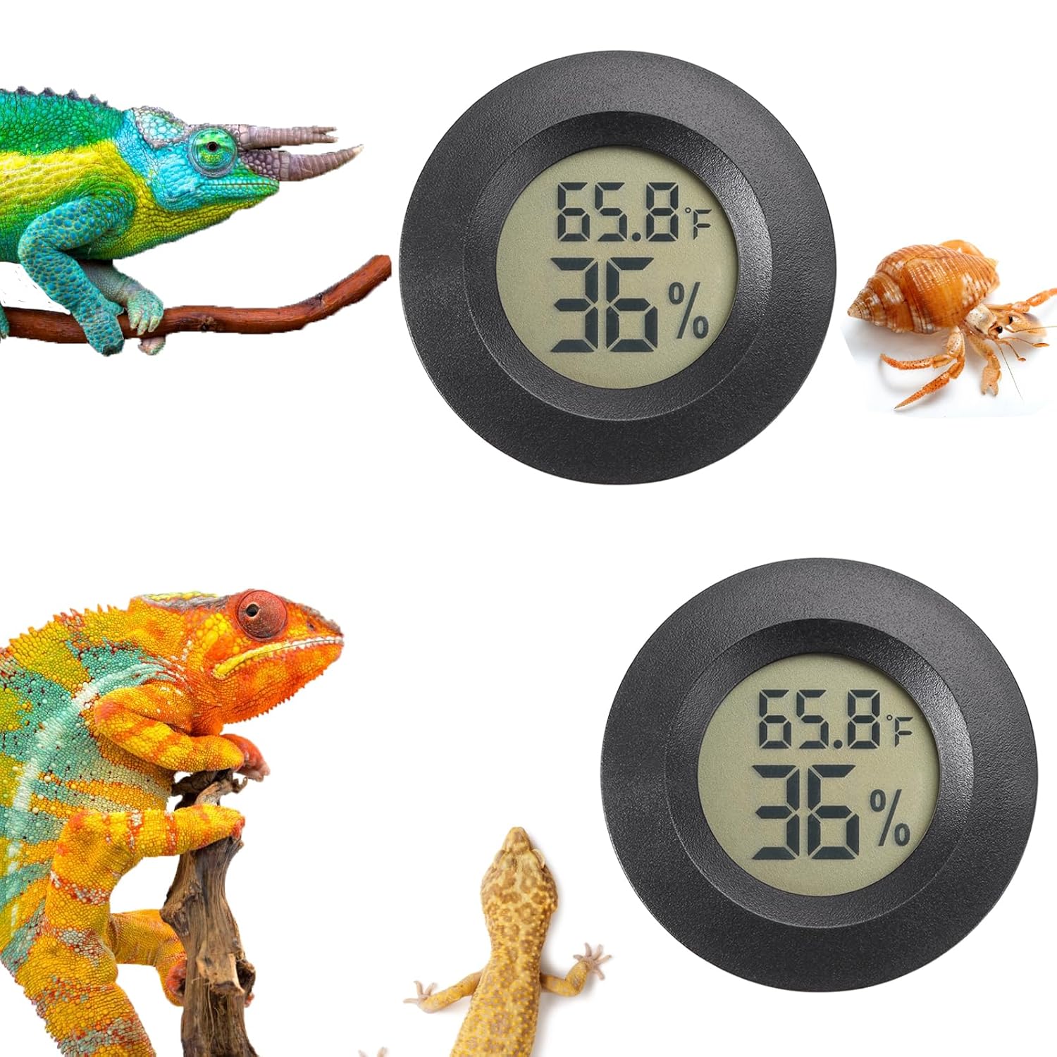 reptile habitat accessories