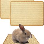 rabbit chew toys