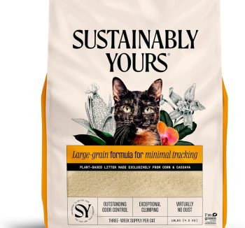 eco friendly cat litter