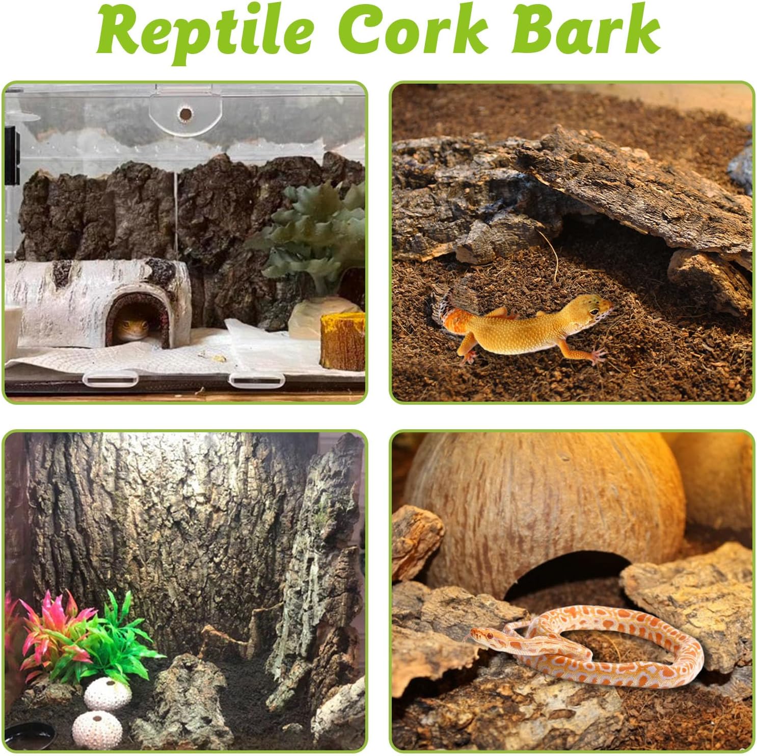 Reptile Cork Bark Bulk 1 Lb Reptile Bark Bedding Natural Flat Cork Wood Pieces Terrarium Substrate Tank Supplies for Bearded Dragon Snake Spiders Hermit Crabs Geckos Tortoise - Happypetzone.online - Image 6