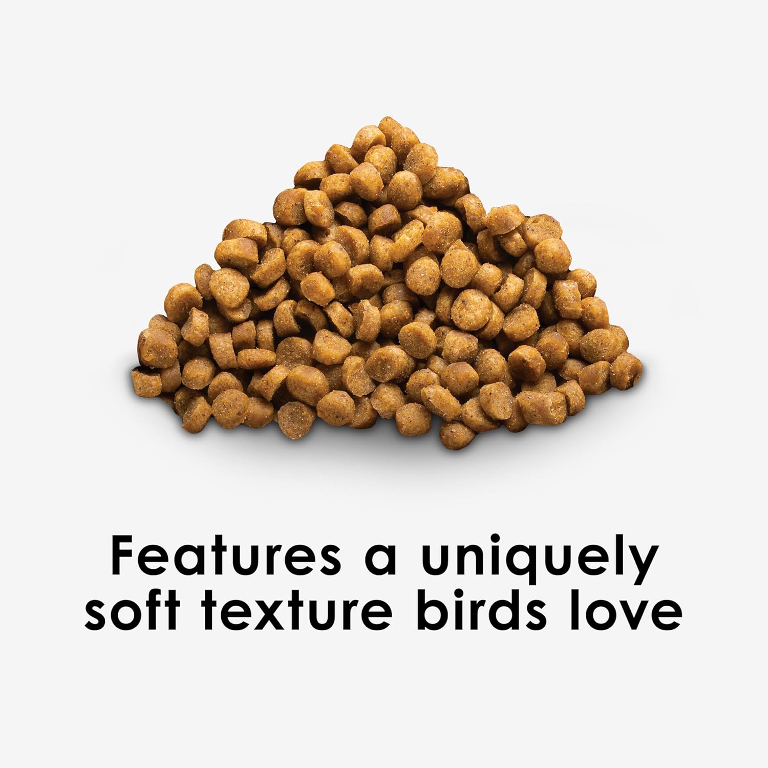 Kaytee Nutri Soft Pet Parrot & Conure Bird Food, 3 Pound - Happypetzone.online - Image 2