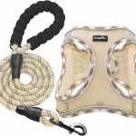 dog leash set