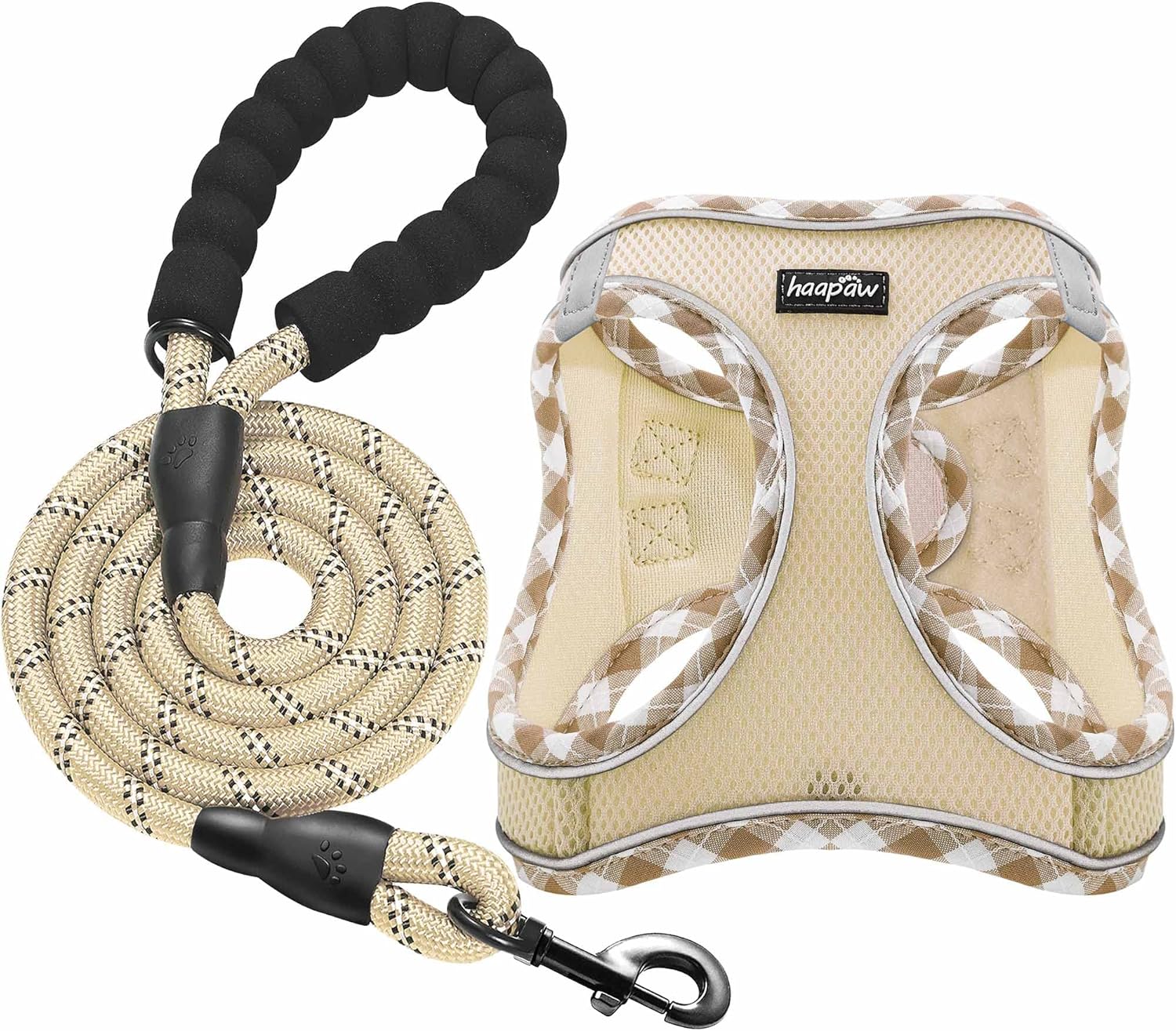 dog leash set
