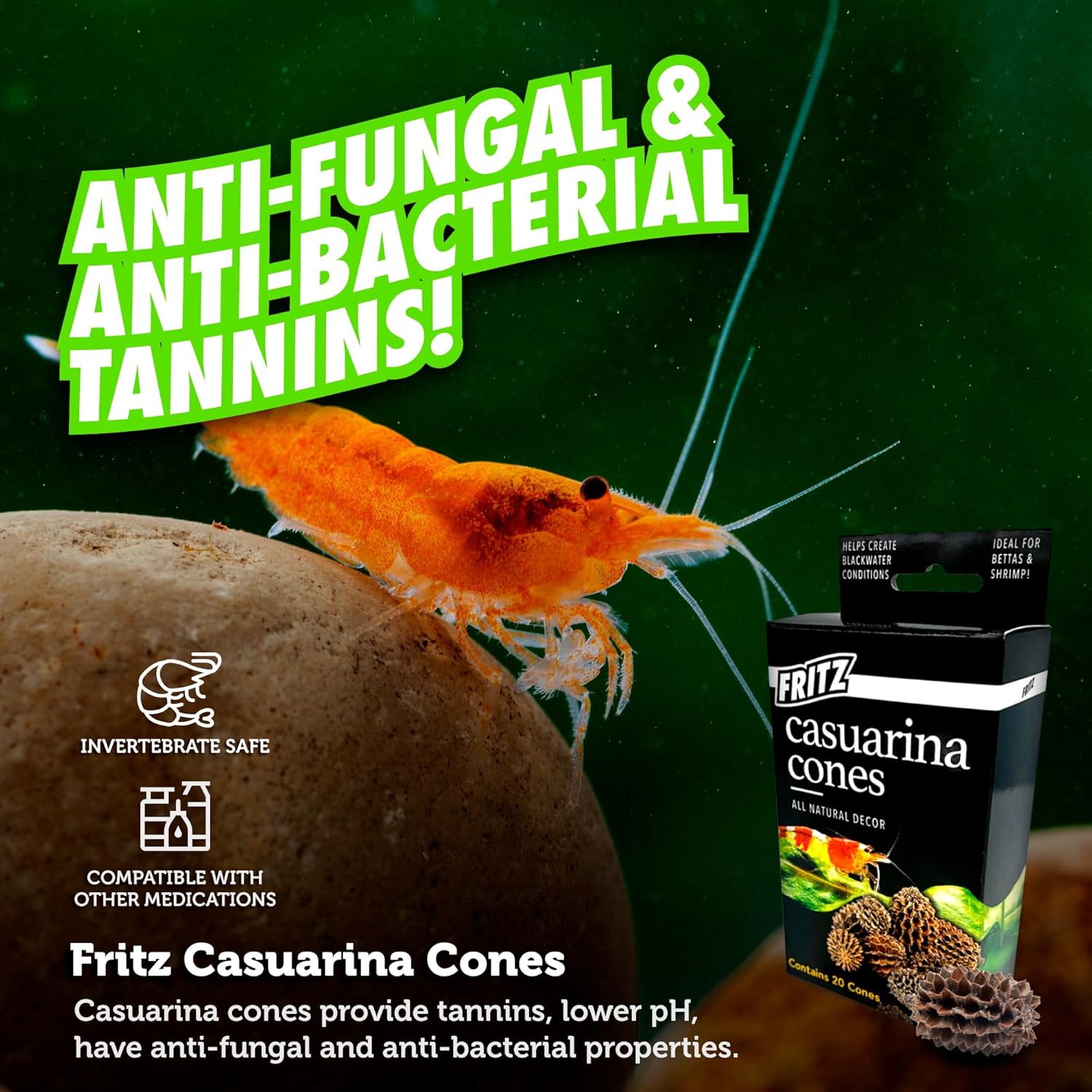 Fritz Aquatics Betta Botanicals for Betta and Community Fish Aquariums (Casuarina Cones - 20ct) - Happypetzone.online - Image 3