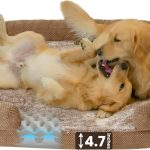 dog bed for big dogs