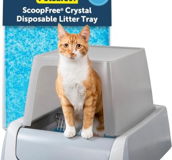 self cleaning litter box