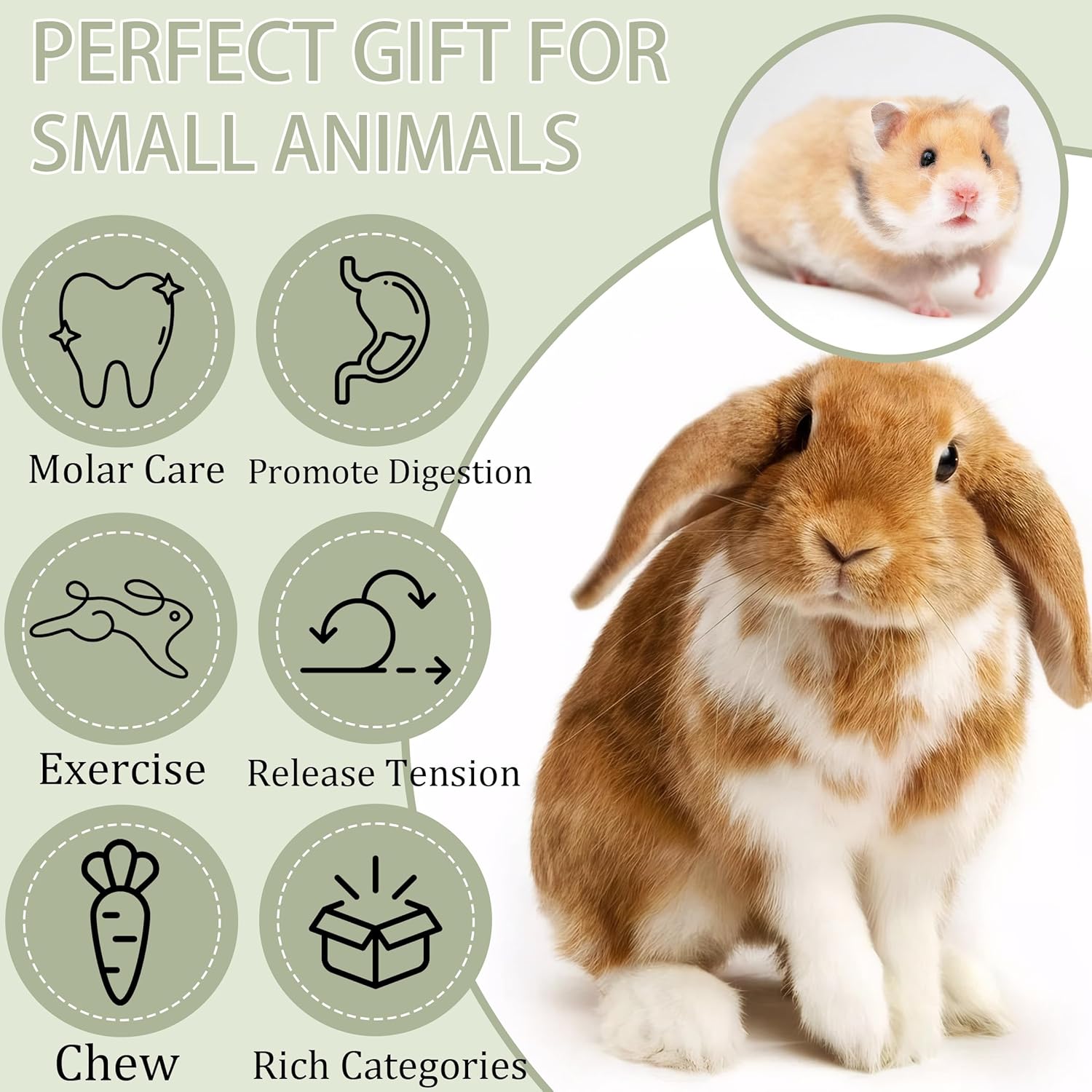 Fruit-Infused Balsa Wood Chew Toys, 16PCS Strawberry Orange and Pitaya Molar Blocks for Rabbits, Guinea Pigs and Chinchillas, 1.6 Inch Large Natural Small Animal Teeth Grinding Treats - Happypetzone.online - Image 3