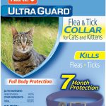 cat flea treatment