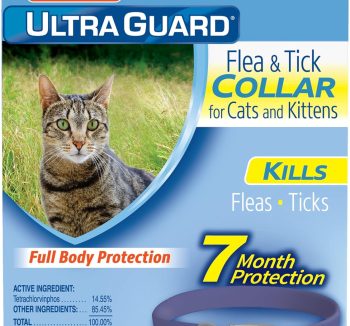 cat flea treatment