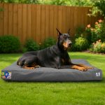 dog bed durable