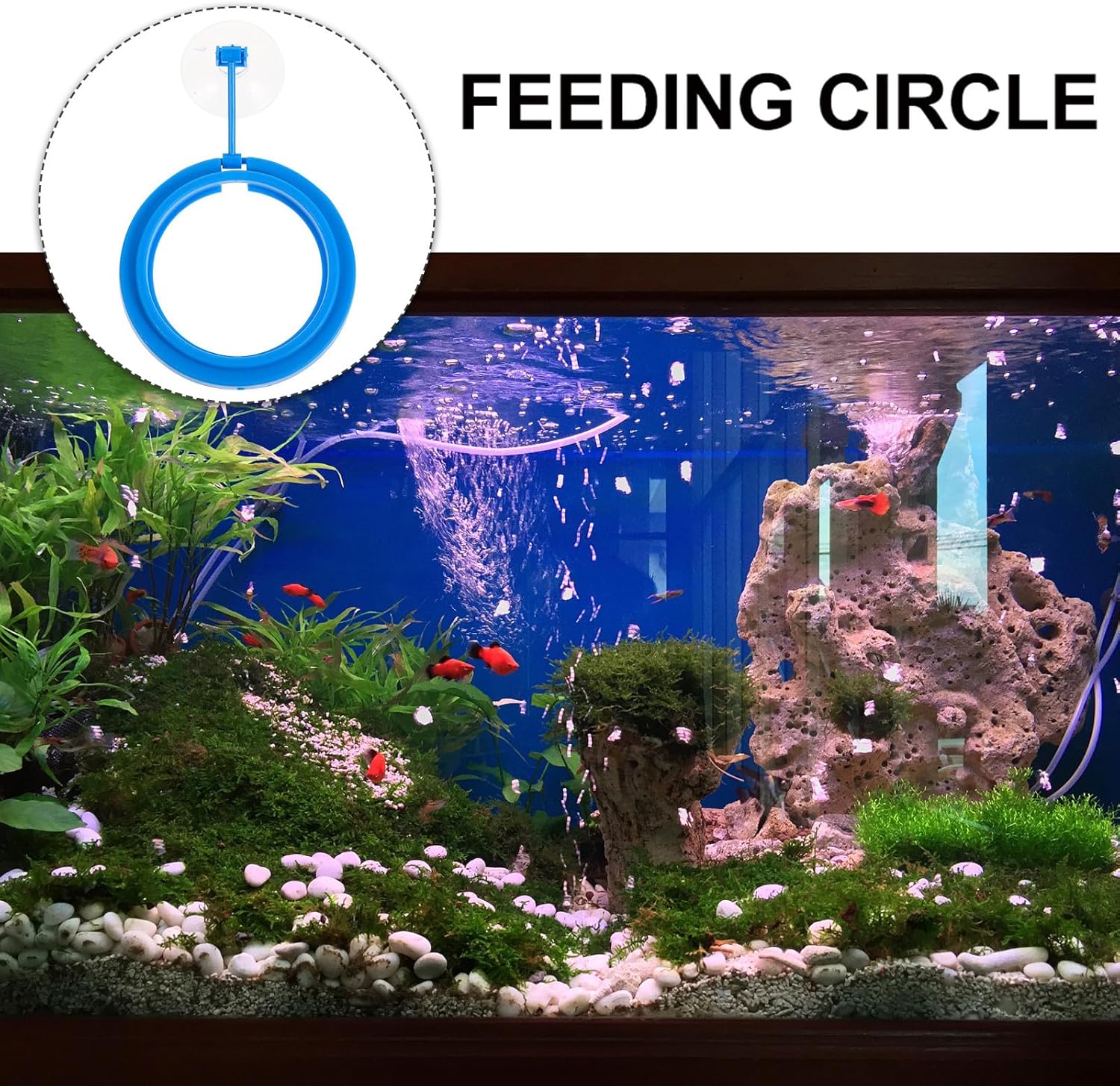 SUPVOX 3pcs Floating Fish Feeder Feeding Ring Fish Tank Supplies Blue Plastic Aquarium Accessory for Controlled Pellet Food Dispensing - Happypetzone.online - Image 4
