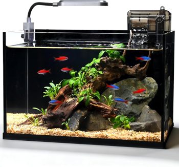 glass aquarium tank