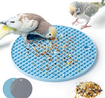 bird enrichment toys