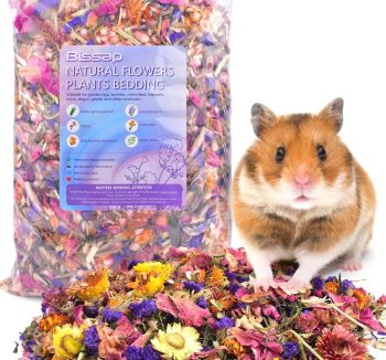 organic hamster food