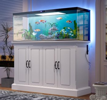 aquarium tank large