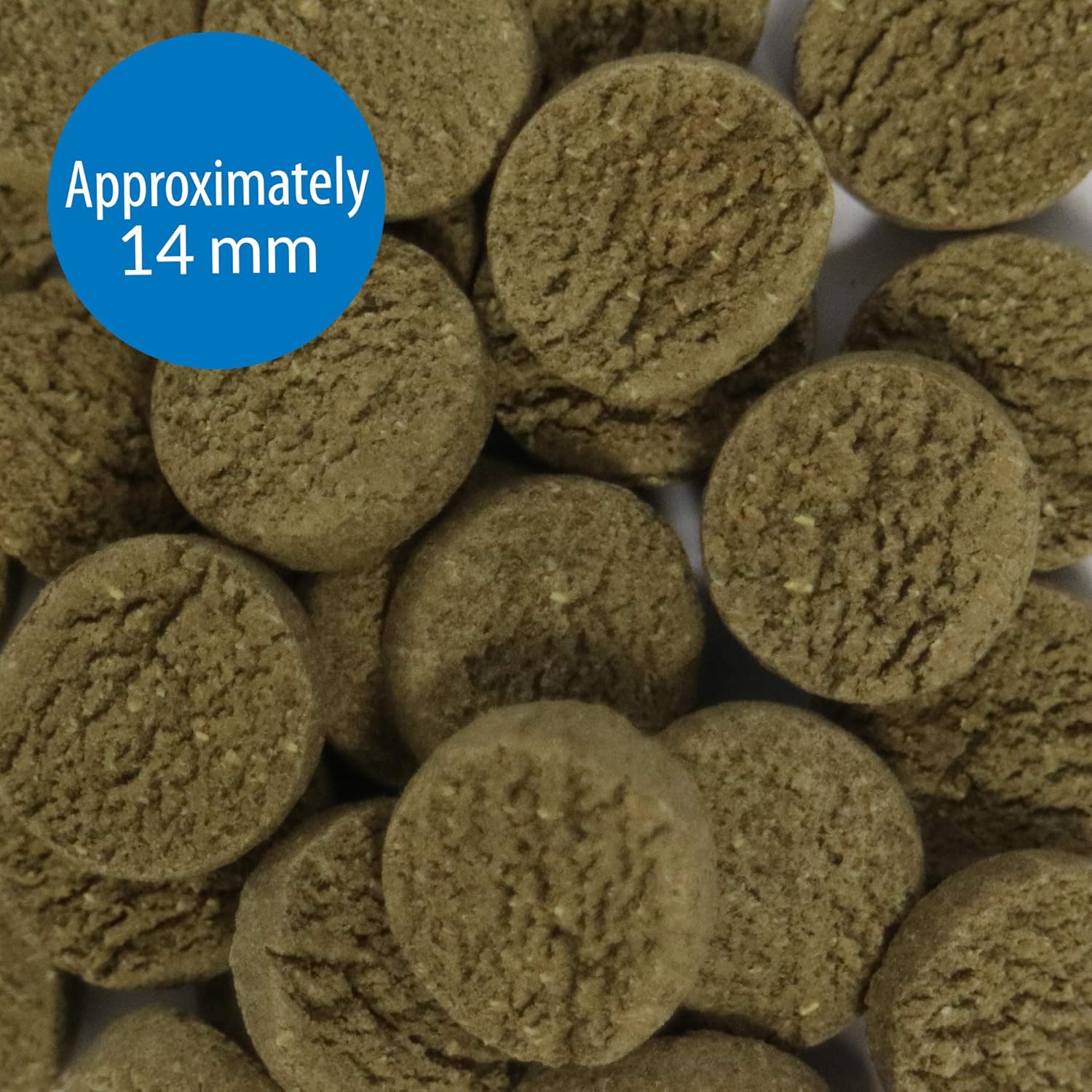 API ALGAE EATER WAFERS Algae Wafer Fish Food 1.3-Ounce Container - Happypetzone.online - Image 2