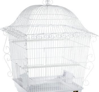 bird cage metal durable