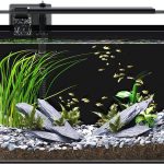 aquarium kit complete