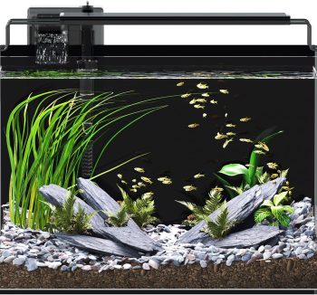 aquarium kit complete