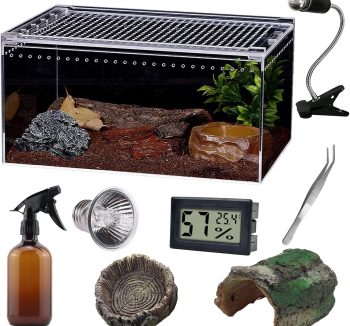 reptile habitat setup kit