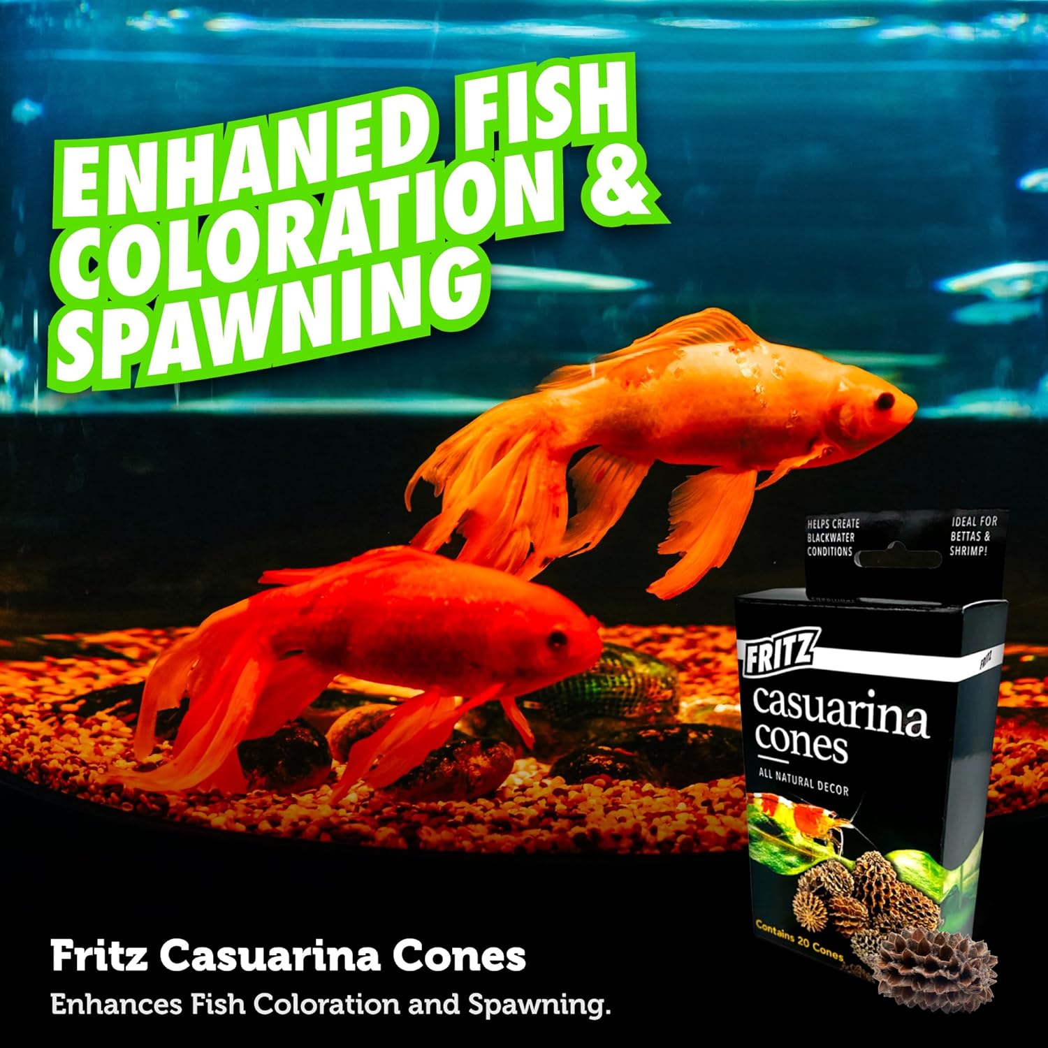 Fritz Aquatics Betta Botanicals for Betta and Community Fish Aquariums (Casuarina Cones - 20ct) - Happypetzone.online - Image 6