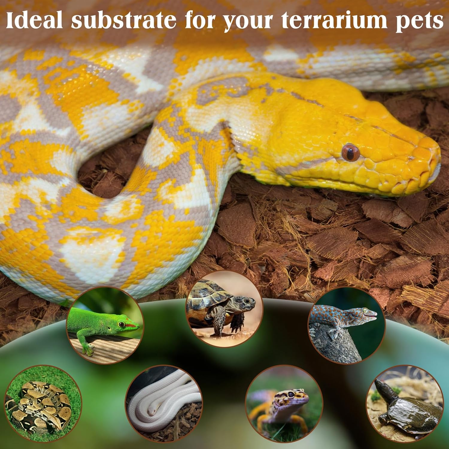 ZeeDix 10LBS Coconut Husk Chip Substrate for Reptiles, 72QT Compressed Organic Coco Coir Chips for Snake Habitat, Reptile Bedding for Ball Python, Tortoises, Geckos, Lizards Terrarium Tanks - Happypetzone.online - Image 4