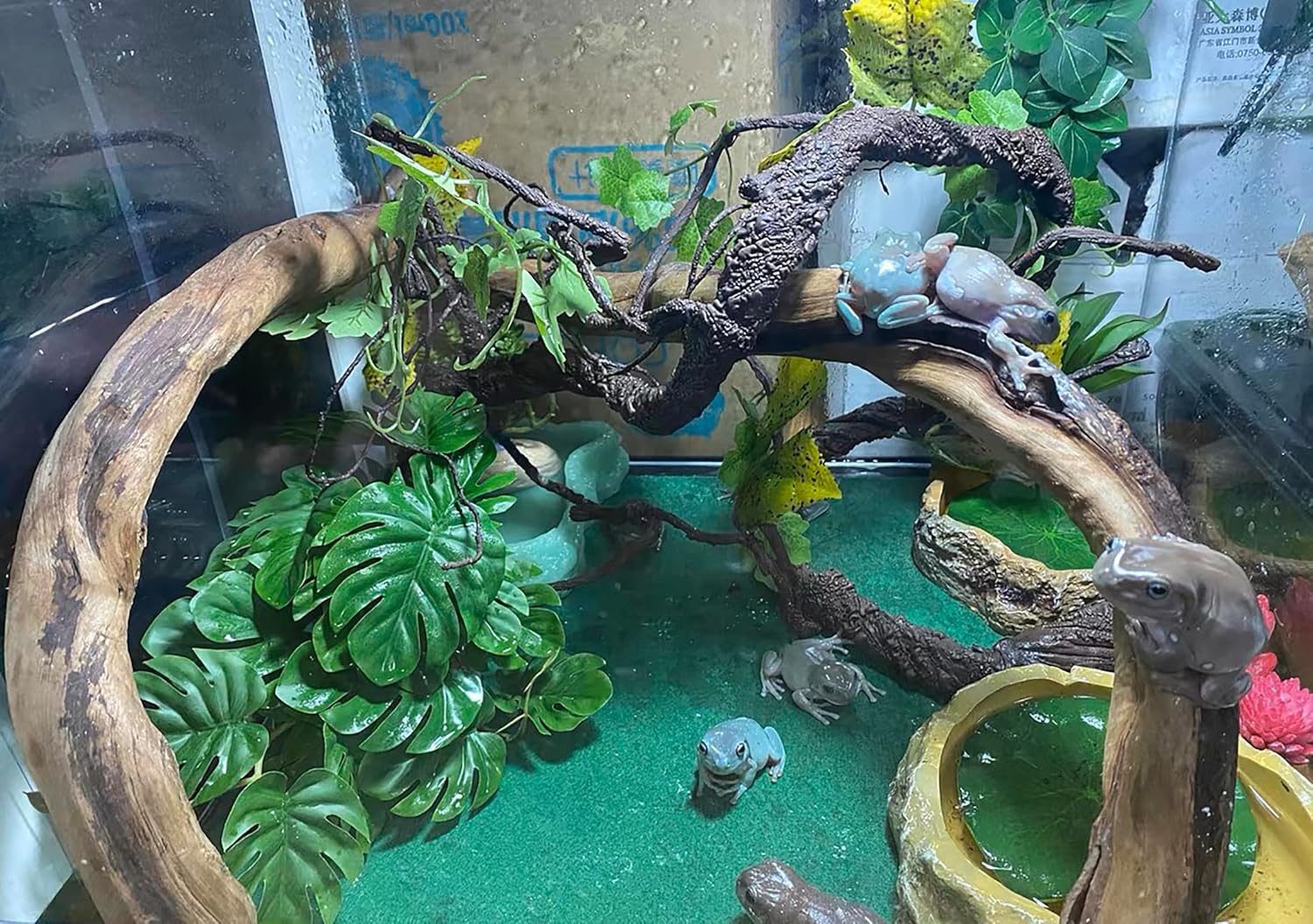 Woyrise Reptile Artificial Plants for Terrarium, Amphibian Habitat Decor Plant, Bearded Dragon Tank Decorations fit Gecko Lizard Chameleon Ball Python Snake Frog - Monstera Bush - Happypetzone.online - Image 5