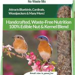 best bird food