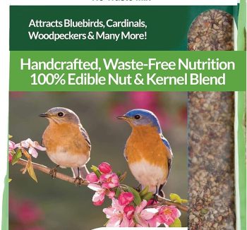 best bird food