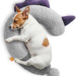 dog wellness products