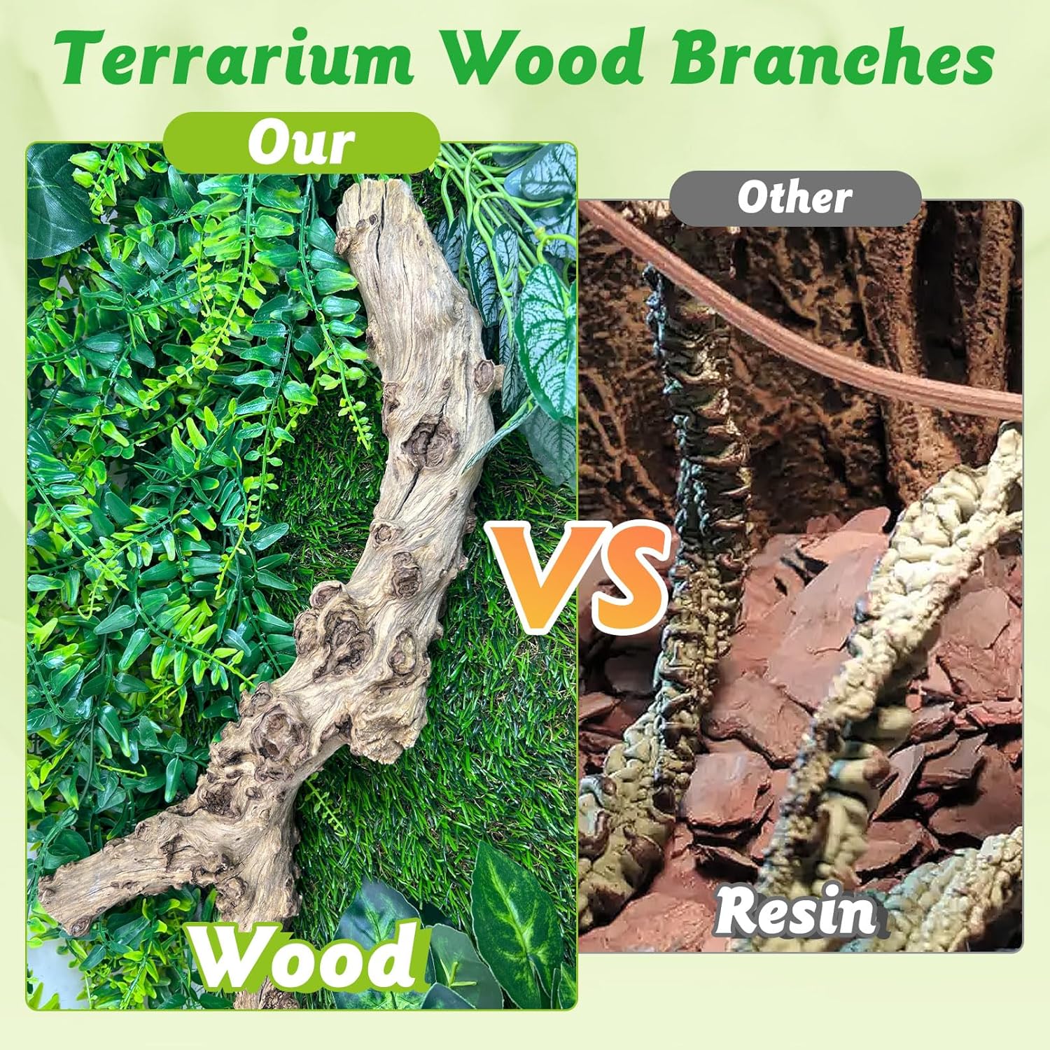 Reptile Branch Decor 2 Pcs Snake Climbing Wood Branches Lizard Habitat Decorations Terrarium Natural Forest Tree Trunk Ornament for Bearded Dragon Geckos Chameleon Frog - Happypetzone.online - Image 5
