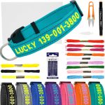 personalized dog collar