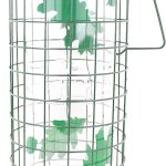bird food amazon best