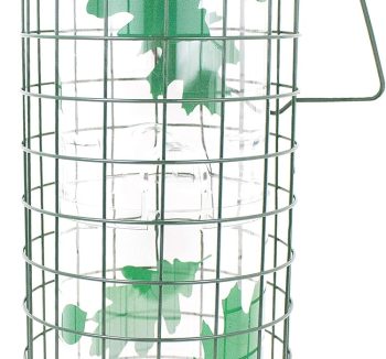 bird food amazon best