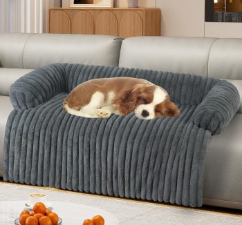 dog sofa bed