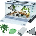 bearded dragon tank