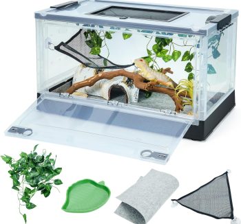 bearded dragon tank