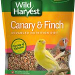 bird seed mix