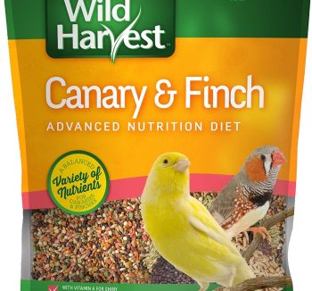bird seed mix
