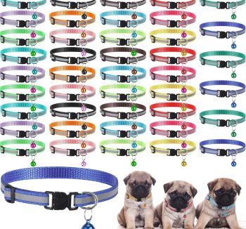 cheap cat collars bulk