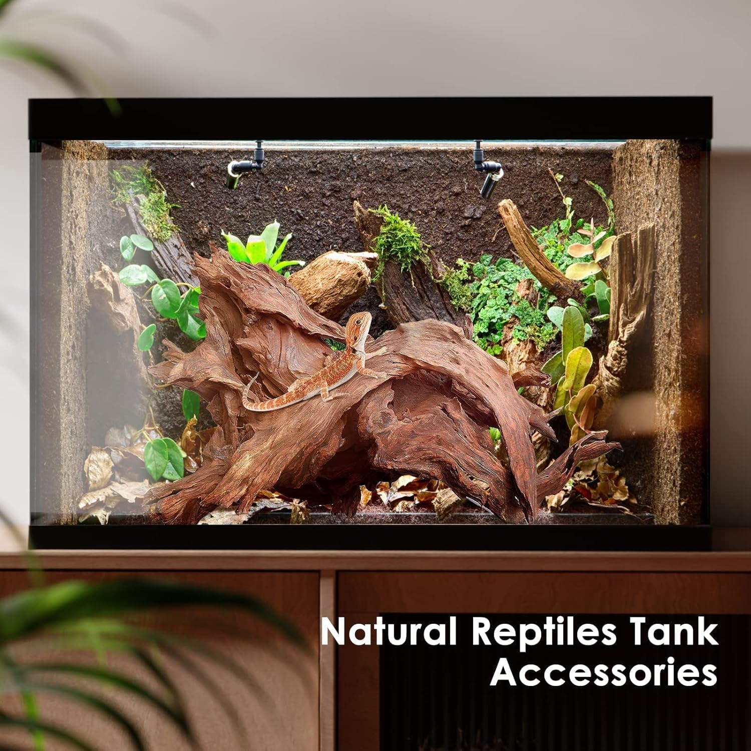 Jorewood Natural Small Aquarium Driftwood for Fish Tanks & Reptile Terrariums – 100% Safe Fish Tank Decorations, Unique Twisted Branches 5-Piece 4-8 Inch Low Tannin, Easy to Sink - Happypetzone.online - Image 5