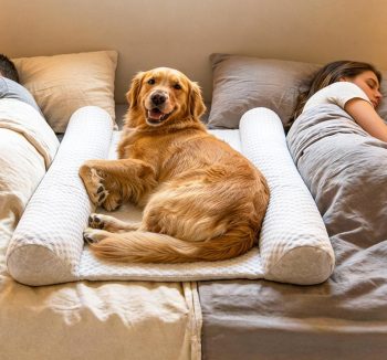cheap dog beds large